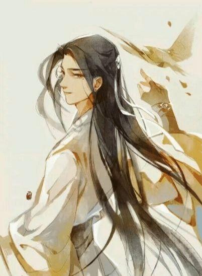 拿破仑：全面战争
